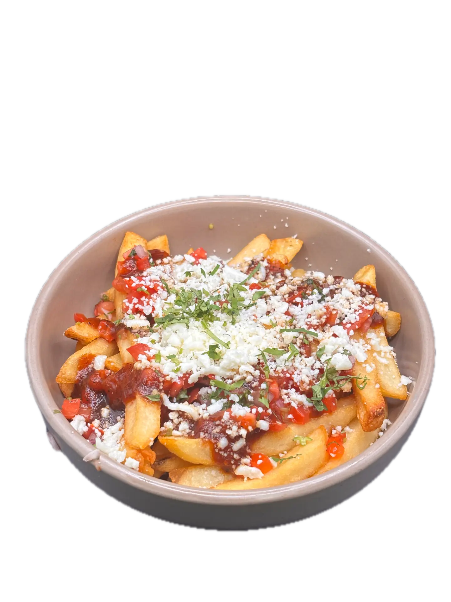 Loaded Fries